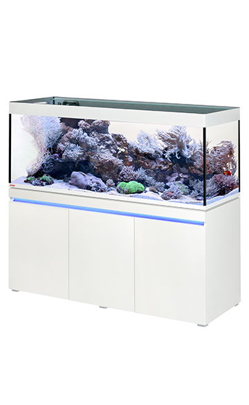Incpiria_530_reef_alpin