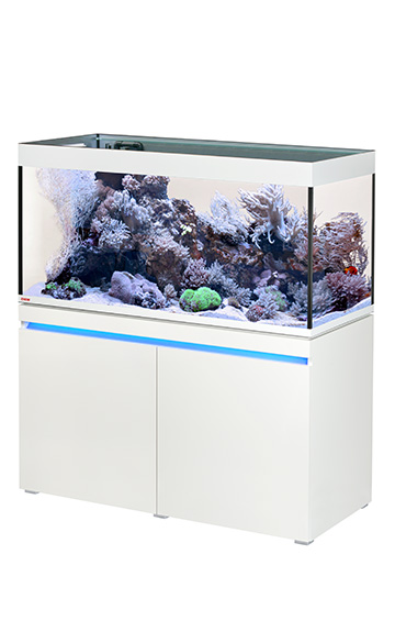 Incpiria_430_reef_alpin